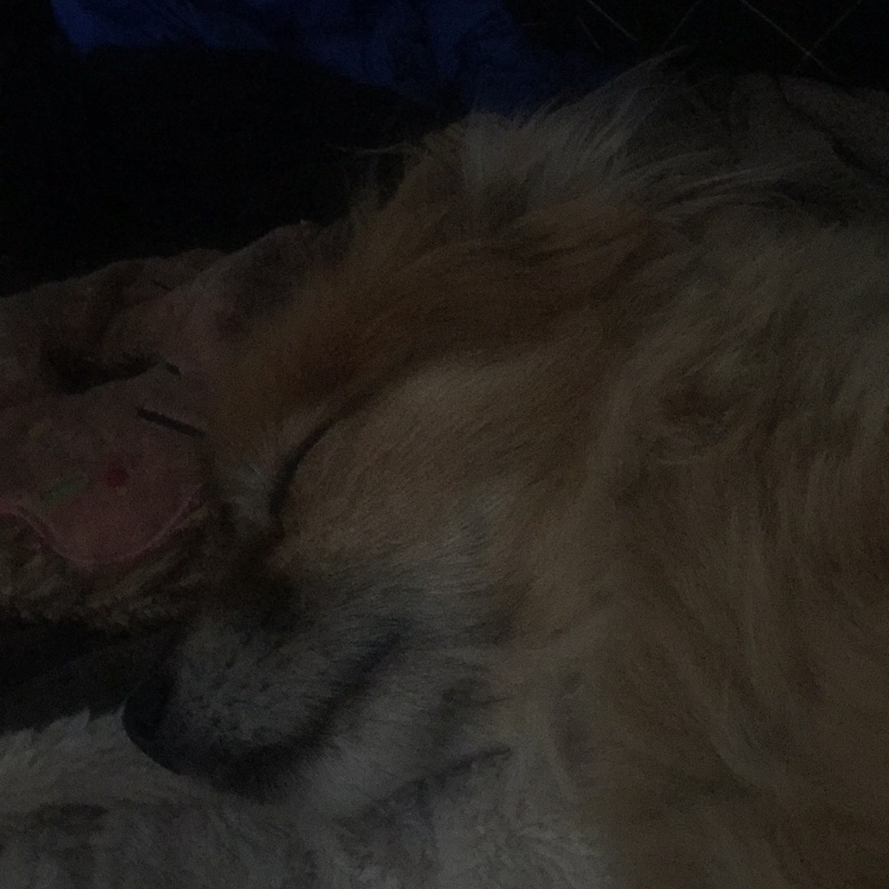 Meet your Posher, Leslie